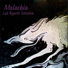 lab reports selection by malachia